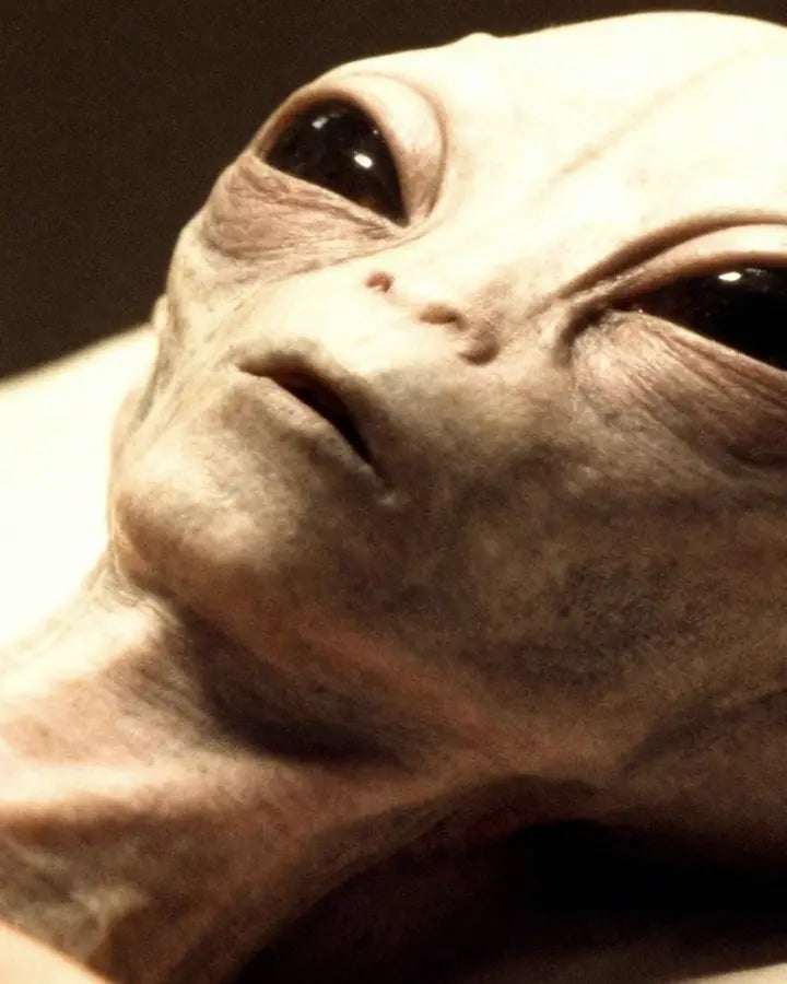 Alien Collectibles